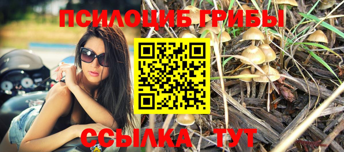 Галлюциногенные грибы мухоморы  Вход с VPN  Первоуральск 