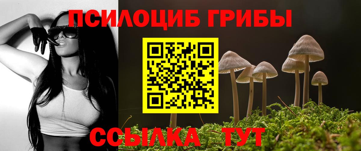 Галлюциногенные грибы Psilocybe Первоуральск